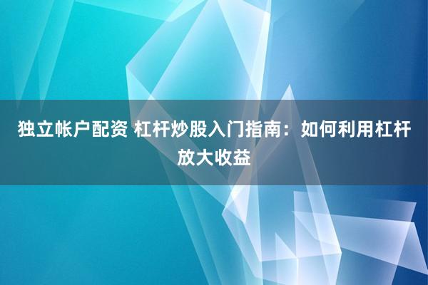独立帐户配资 杠杆炒股入门指南：如何利用杠杆放大收益