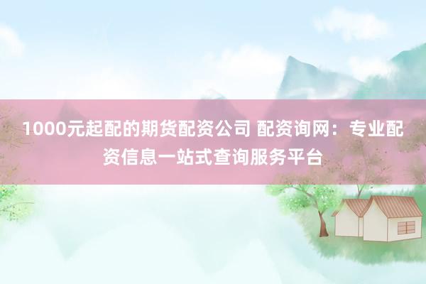 1000元起配的期货配资公司 配资询网：专业配资信息一站式查询服务平台