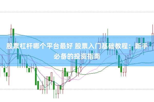 股票杠杆哪个平台最好 股票入门基础教程：新手必备的投资指南