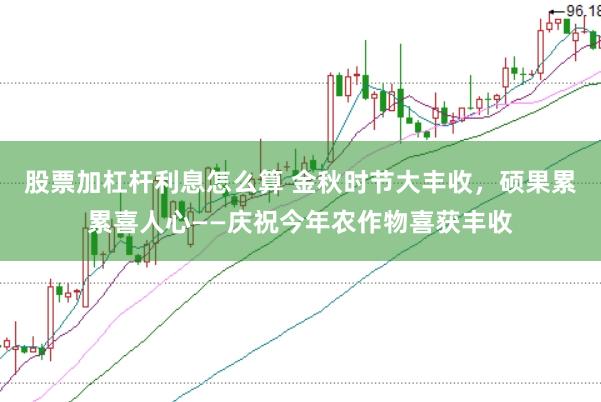 股票加杠杆利息怎么算 金秋时节大丰收，硕果累累喜人心——庆祝今年农作物喜获丰收
