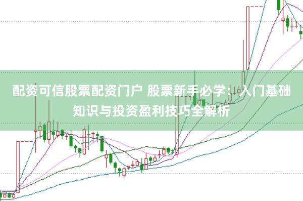 配资可信股票配资门户 股票新手必学：入门基础知识与投资盈利技巧全解析