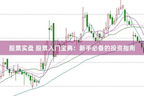 股票实盘 股票入门宝典：新手必备的投资指南