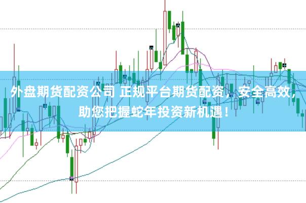外盘期货配资公司 正规平台期货配资，安全高效，助您把握蛇年投资新机遇！