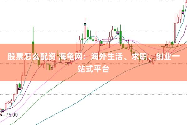 股票怎么配资 海龟网：海外生活、求职、创业一站式平台