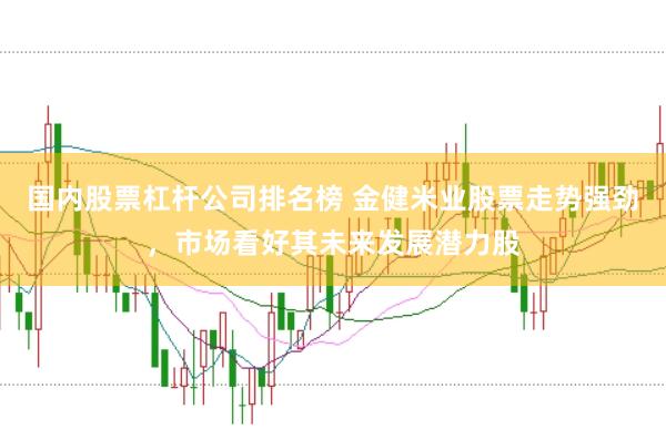 国内股票杠杆公司排名榜 金健米业股票走势强劲，市场看好其未来发展潜力股