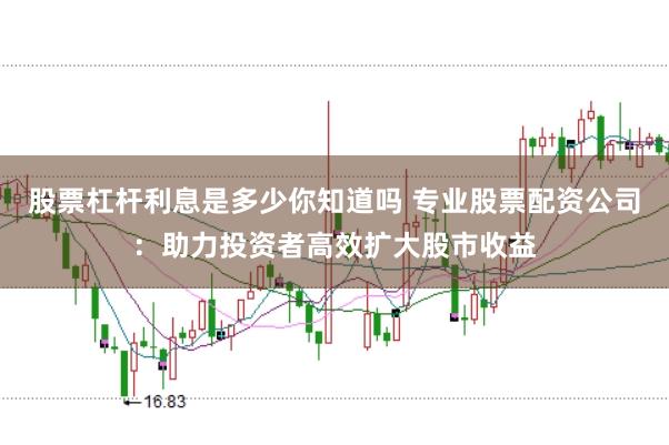 股票杠杆利息是多少你知道吗 专业股票配资公司：助力投资者高效扩大股市收益