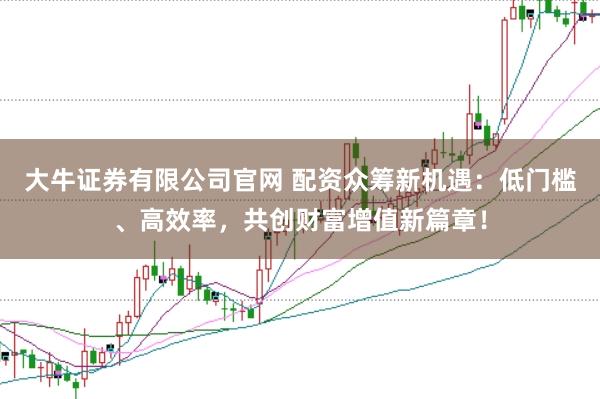 大牛证券有限公司官网 配资众筹新机遇：低门槛、高效率，共创财富增值新篇章！