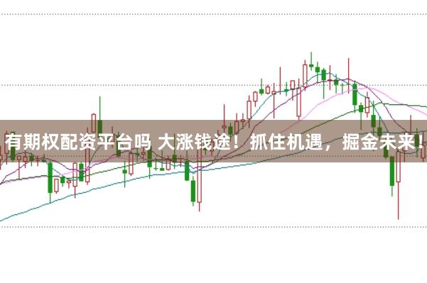 有期权配资平台吗 大涨钱途！抓住机遇，掘金未来！