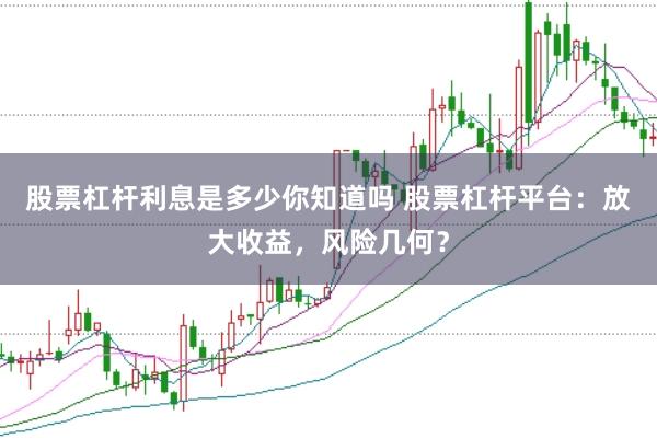 股票杠杆利息是多少你知道吗 股票杠杆平台：放大收益，风险几何？
