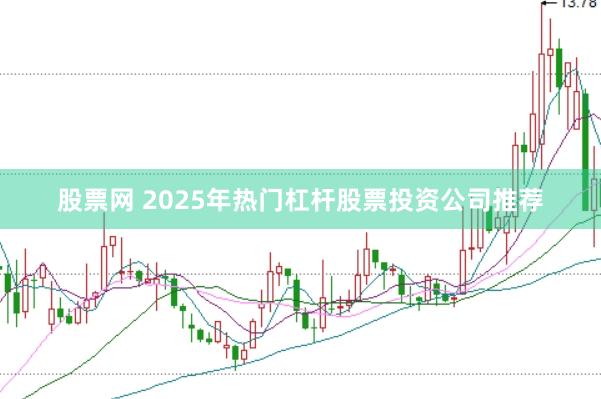 股票网 2025年热门杠杆股票投资公司推荐