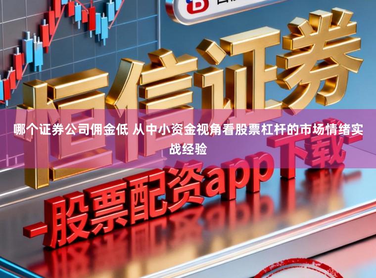 哪个证券公司佣金低 从中小资金视角看股票杠杆的市场情绪实战经验